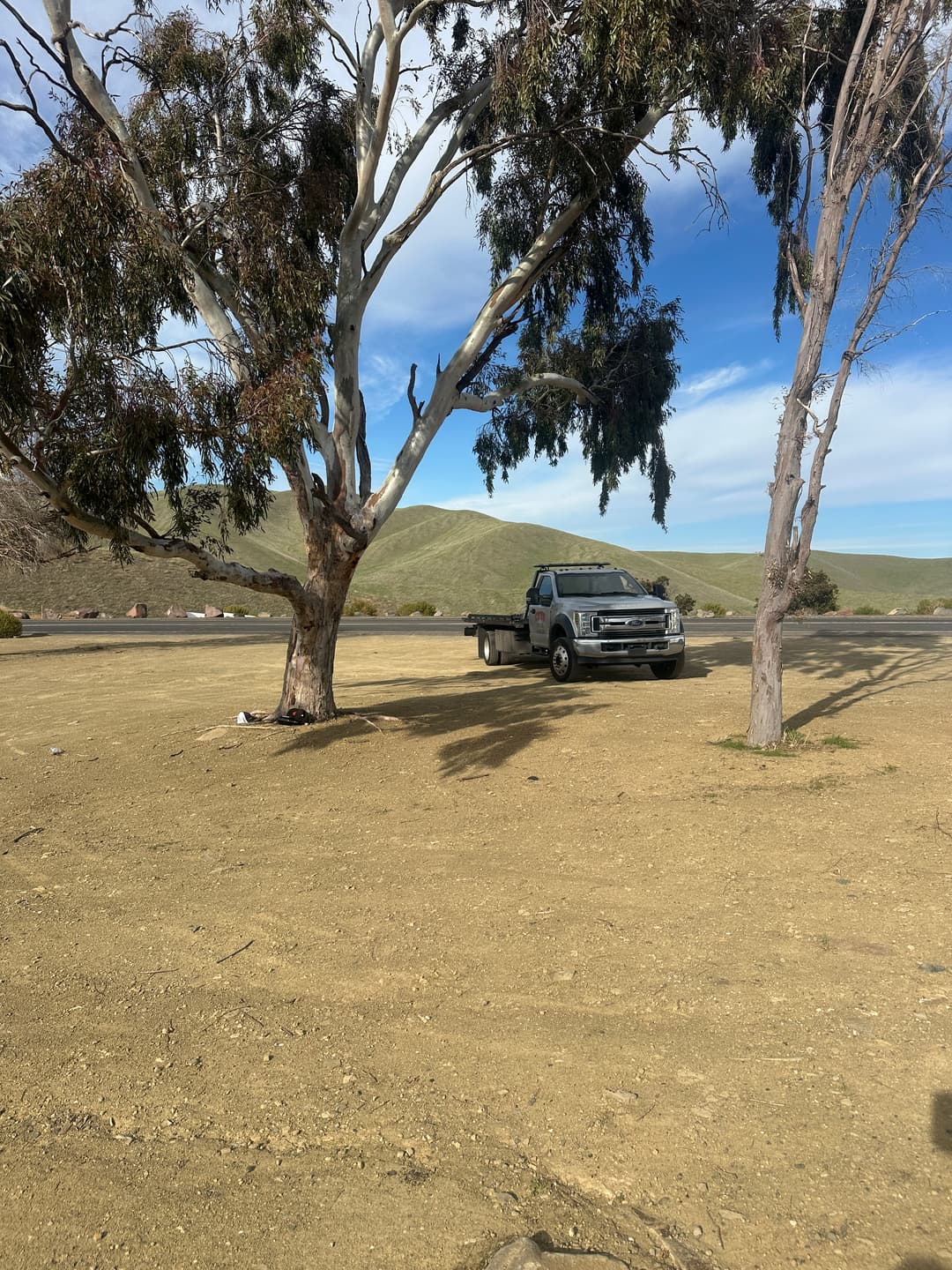 House cleaner wiping kitchen surfaces with eco-friendly cleaning products